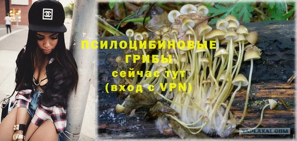 СК Балахна