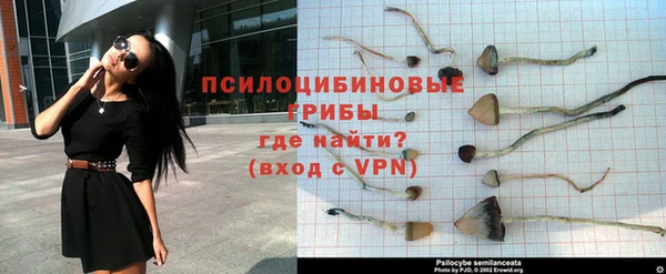 гидра Балабаново