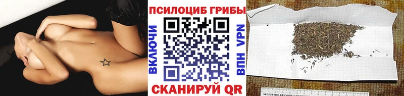 хочу наркоту  площадка как зайти  omg вход  Галлюциногенные грибы Magic Shrooms  Углегорск 
